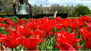 Scenic Spring Wildflower Locations